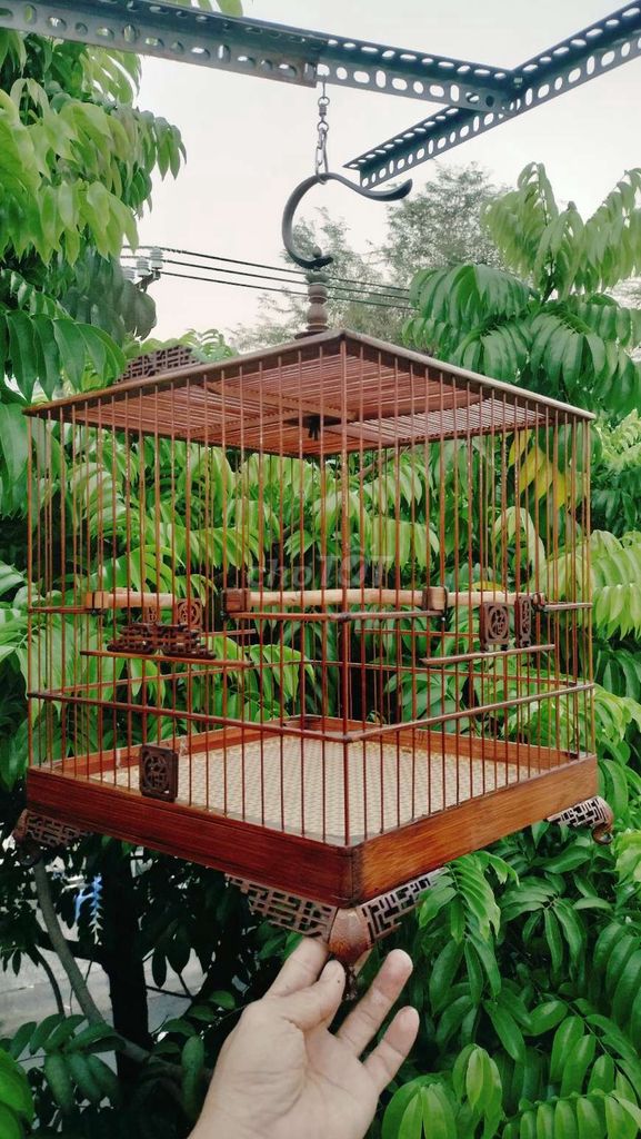 3 cây lồng chào mào. Mua bán Phụ kiện, Thức ăn, Dịch vụ tại Quận 8 Tp Hồ Chí Minh được đăng bởi Trung hình 1