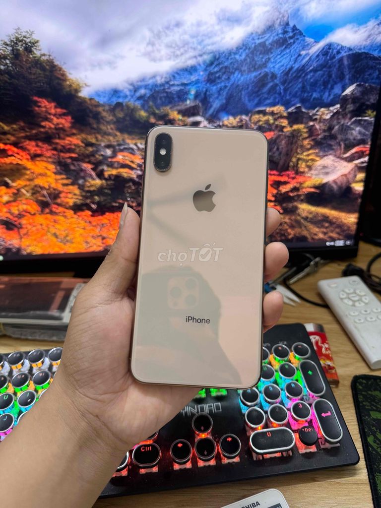 Bán iPhone XS Max 256GB pin100%. Mua bán Điện thoại tại Quận Ngô Quyền Hải Phòng được đăng bởi Điện Thoại Hải Phòng  hình 1