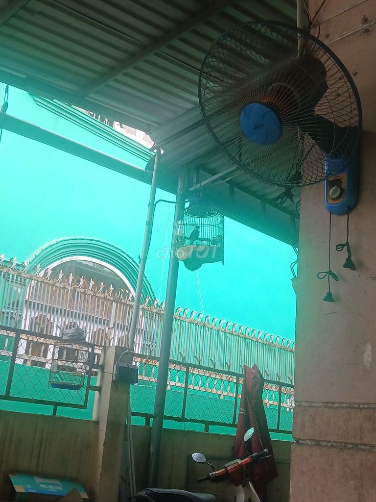 Chim Khướu 1 mùa. Mua bán Chim tại Thành phố Thủ Đức Tp Hồ Chí Minh được đăng bởi Sơn Nguyễn hình 1