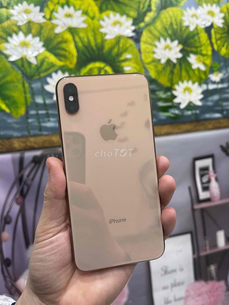 Apple iPhone Xs Max 64GB Vàng đồng. Mua bán Điện thoại tại Quận Bắc Từ Liêm Hà Nội được đăng bởi Bính táo hình 1