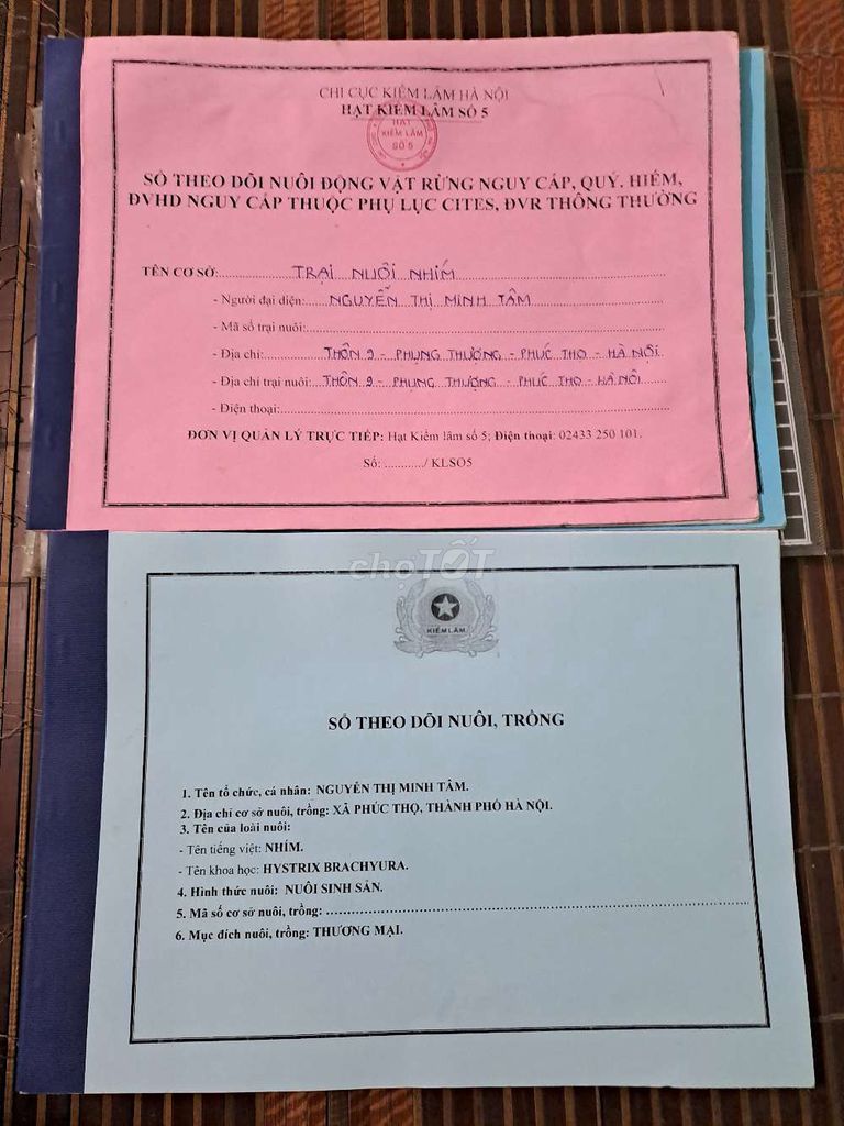 Lợn lông Nhím. Mua bán Thú cưng khác tại Huyện Phúc Thọ Hà Nội được đăng bởi Đức  hình 1
