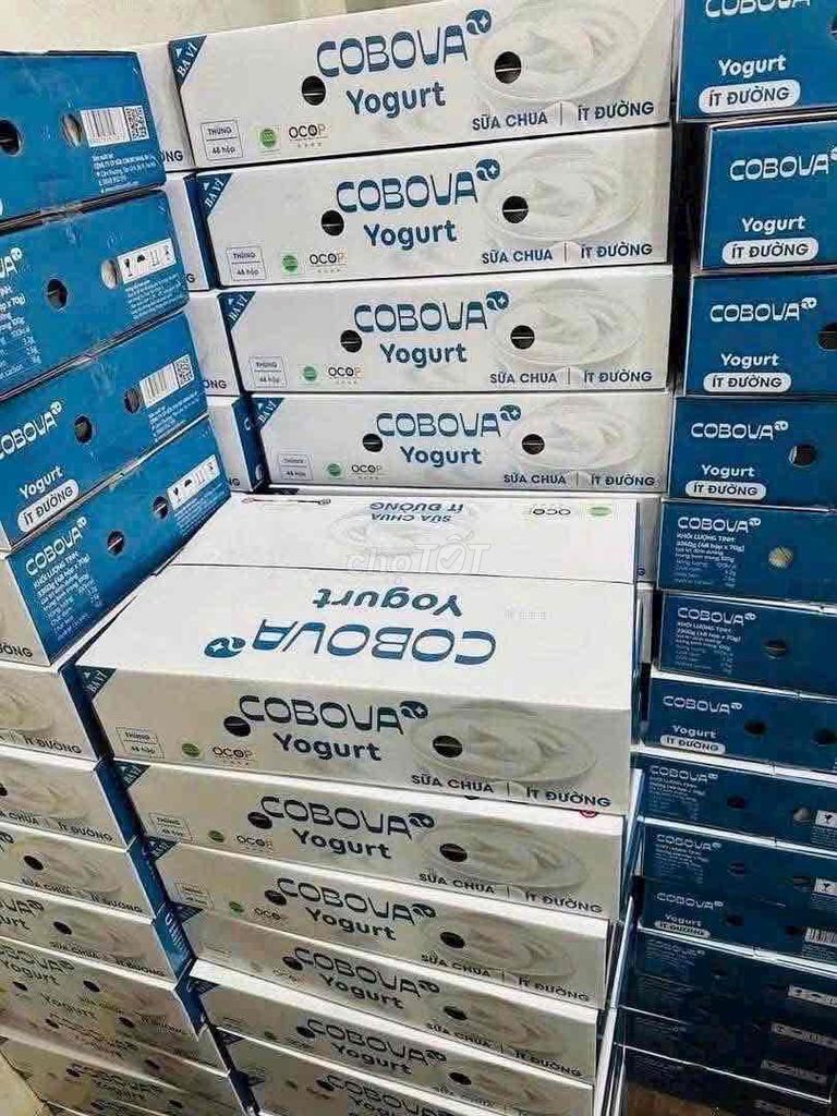 Sữa chua COBOVAMILK Ít đường Ba Vì. Mua bán Đồ ăn, thực phẩm và các loại khác tại Quận Lê Chân Hải Phòng được đăng bởi Nam hình 1