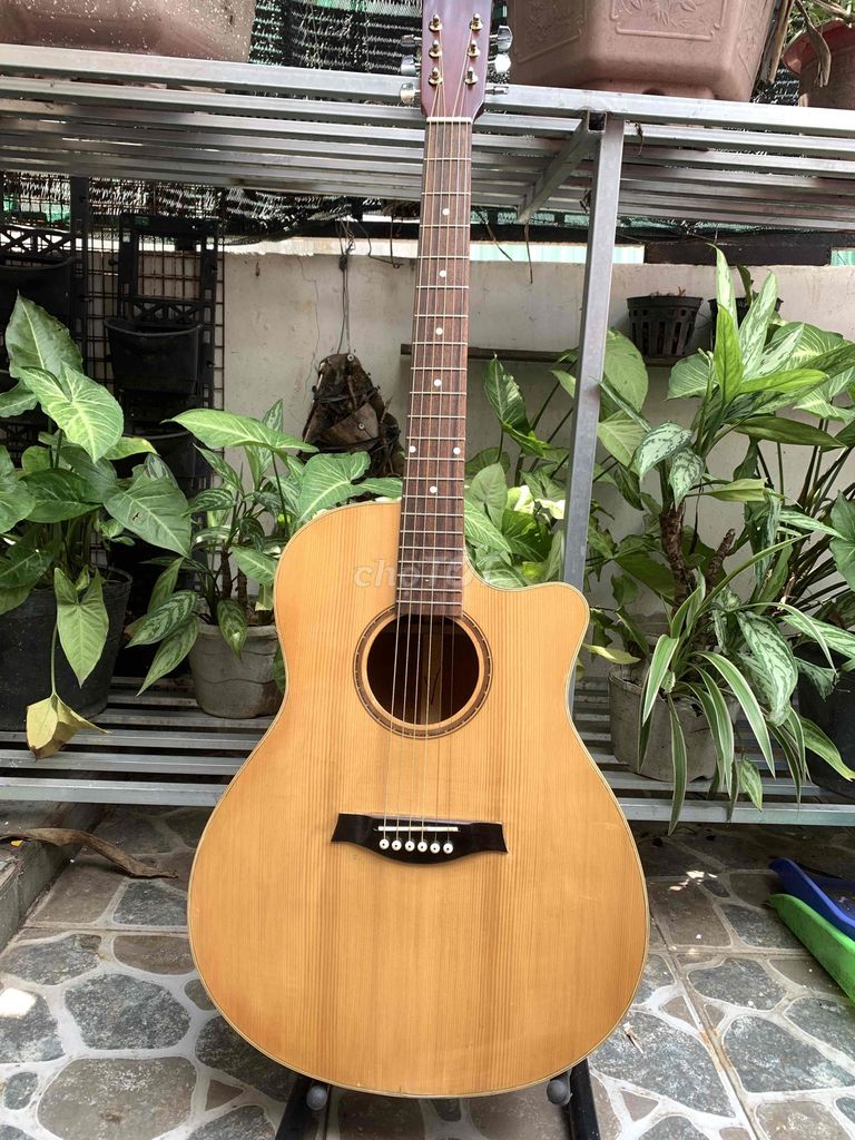 Đàn acoustic gỗ hồng đào