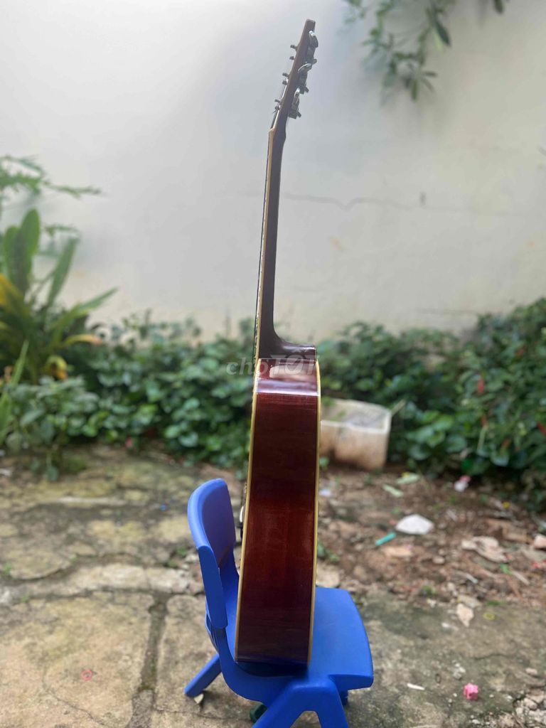 Guitar Morris W39M bản giới hạn