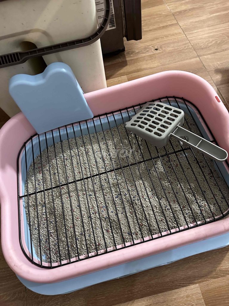 Khay vệ sinh Chó Nhựa màu hồng 51x37x16cm. Mua bán Phụ kiện, Thức ăn, Dịch vụ tại Quận Hoàng Mai Hà Nội được đăng bởi Bùi Thảo hình 1