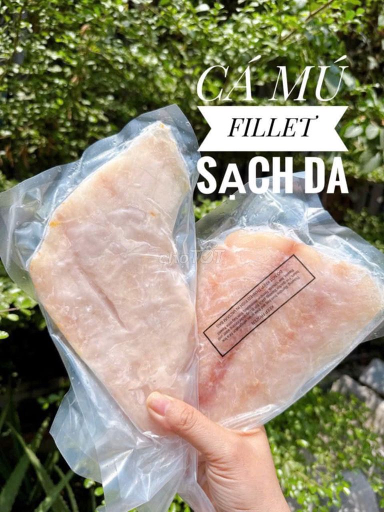 🐟🐟🐟 CÁ MÚ BIỂN FILLET BỎ DA 🐟. Mua bán Đồ ăn, thực phẩm và các loại khác tại Quận 3 Tp Hồ Chí Minh được đăng bởi Cao Trần Ngọc Thi hình 1
