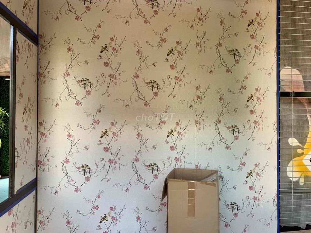 giấy dán tường chống ẩm mốc