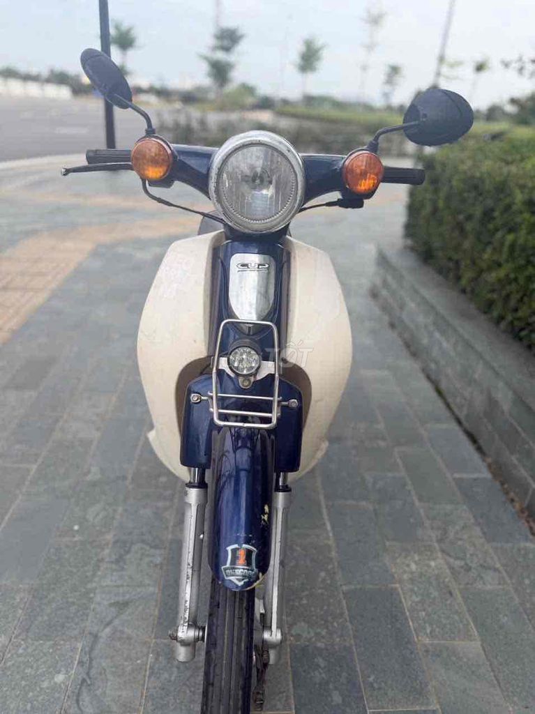 Honda Cub 50cc Xanh Trắng
