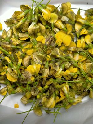 HOA ĐIÊN ĐIỂN TƯƠI. Mua bán Đồ ăn, thực phẩm và các loại khác tại Quận Hoàng Mai Hà Nội được đăng bởi Shin Mai