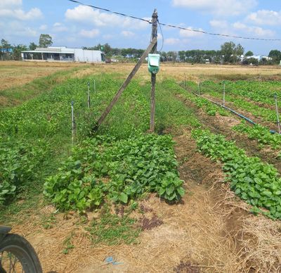 Đất làm nhà vườn gần trung tâm Gò Công
