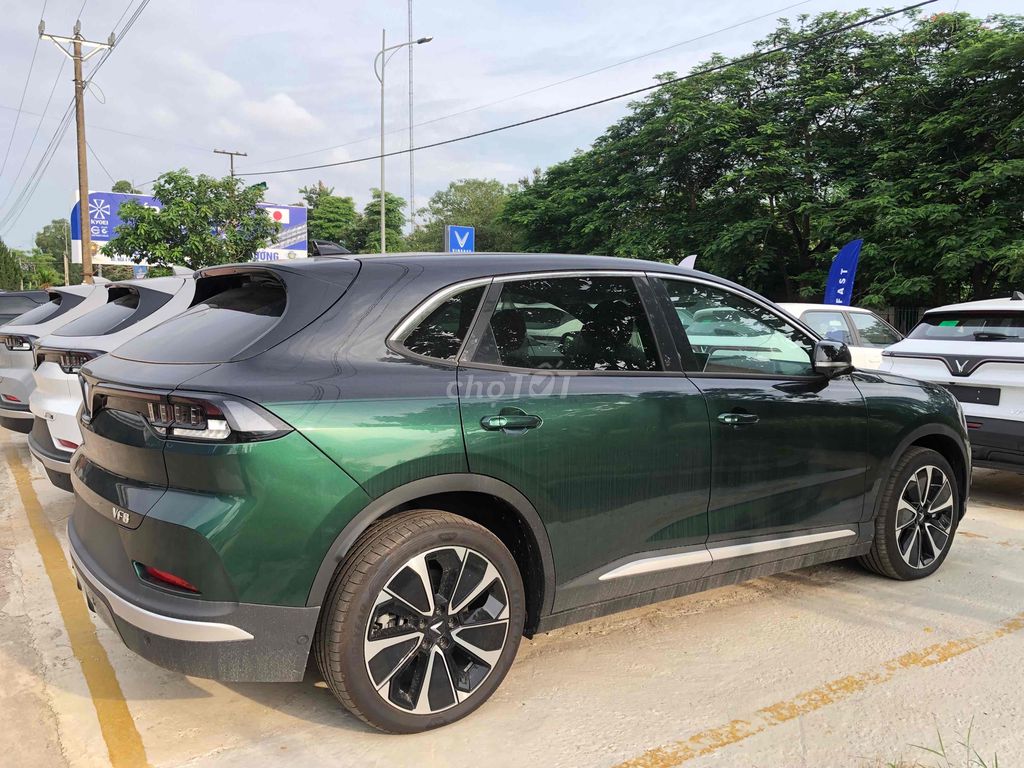 Ảnh số 4