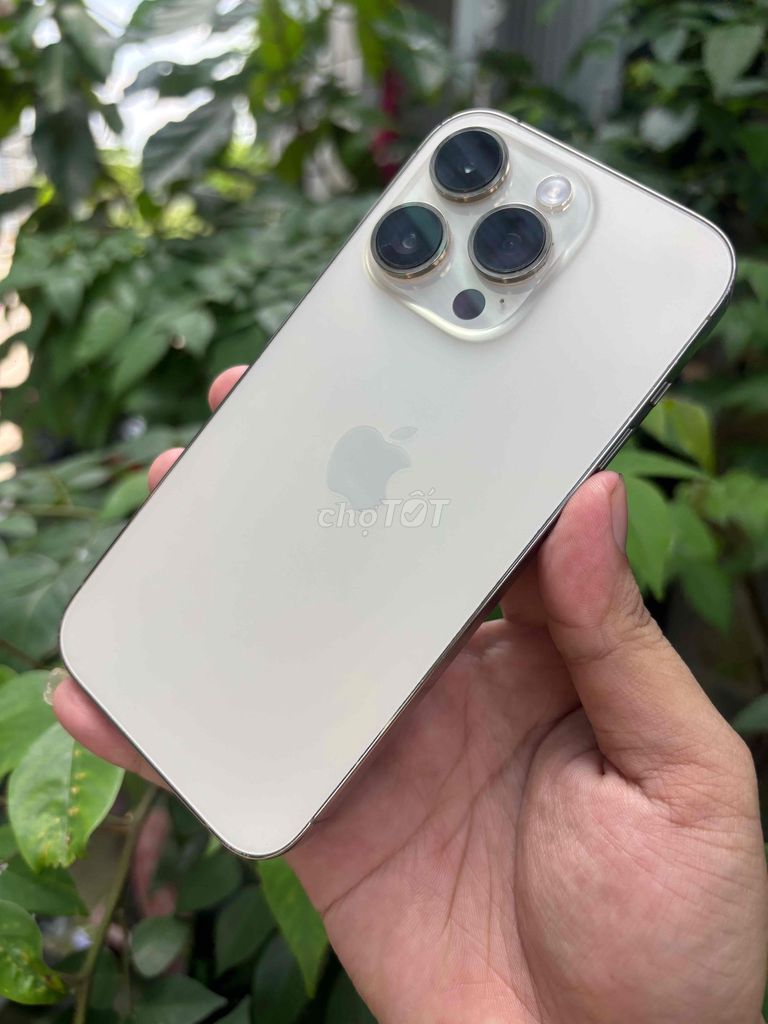Apple iPhone 14 Pro 128GB Vàng Đã sử dụng. Mua bán Điện thoại tại Huyện Bình Chánh Tp Hồ Chí Minh được đăng bởi Lâm mobiphone hình 1