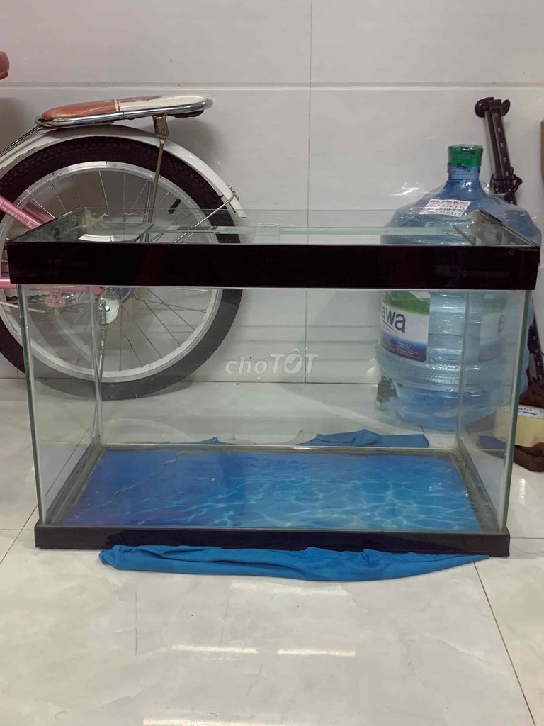 Bể cá 60x30x40 và chân inox. Mua bán Phụ kiện, Thức ăn, Dịch vụ tại Quận Gò Vấp Tp Hồ Chí Minh được đăng bởi Mr hiếu hình 1