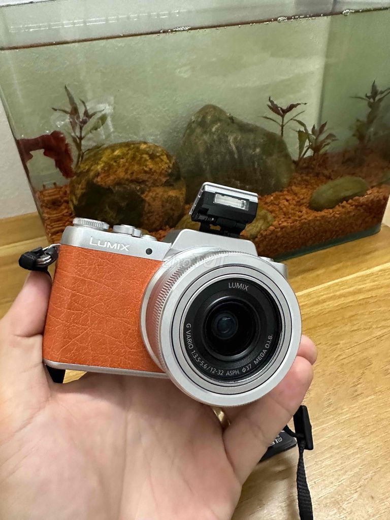 Máy ảnh Panasonic Lumix GF8 Cam, Bạc. Mua bán Máy ảnh, Máy quay tại Quận Ba Đình Hà Nội được đăng bởi Trần Mạnh Thọ hình 1