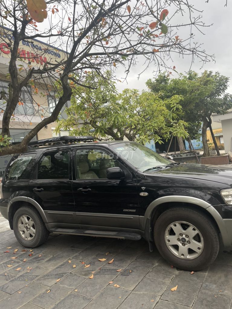 Ảnh số 4