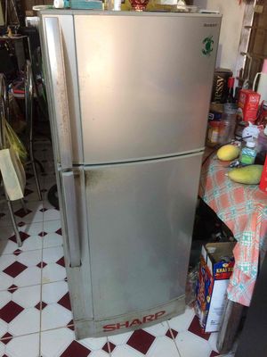 tủ lạnh shap 50x60x140, nhanh