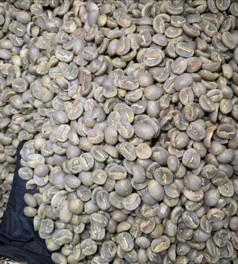 Cà phê Nhân ARABICA S18 CẦU ĐẤT ,CBU. Mua bán Đồ ăn, thực phẩm và các loại khác tại Thành phố Thủ Đức Tp Hồ Chí Minh được đăng bởi Blao Farm Việt Nam hình 1