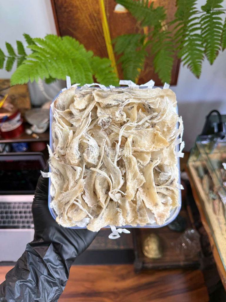 Yến sào Tổ yến Trắng ngà. Mua bán Đồ ăn, thực phẩm và các loại khác tại Quận Gò Vấp Tp Hồ Chí Minh được đăng bởi BÙI THỊ YẾN OANH  hình 2