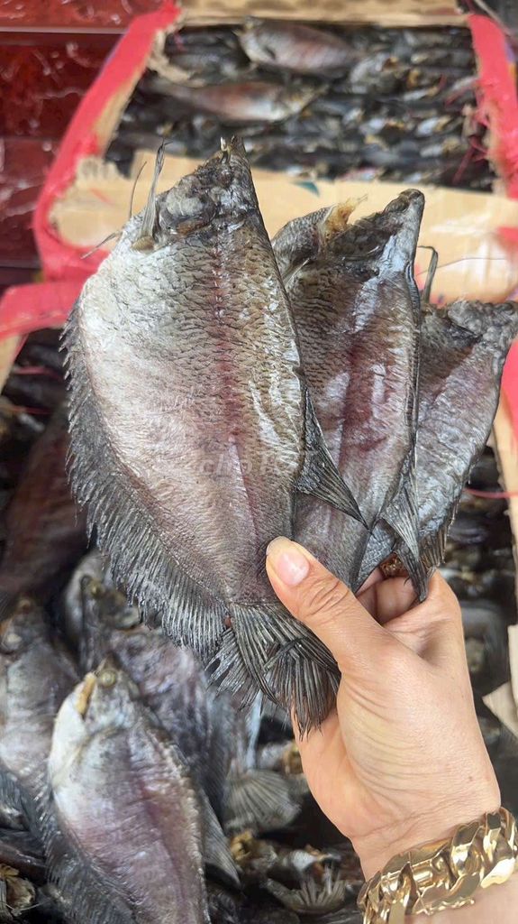 Cá khô Cá sặc bổi size 8con. Mua bán Đồ ăn, thực phẩm và các loại khác tại Quận Bình Thuỷ Cần Thơ được đăng bởi Lê Kim Cương hình 1