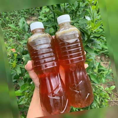 Mật ong khoái rừng nguyên chất 1 lít, mật già. Mua bán Đồ ăn, thực phẩm và các loại khác tại Huyện Xuân Lộc Đồng Nai được đăng bởi Trần Quốc Vinh