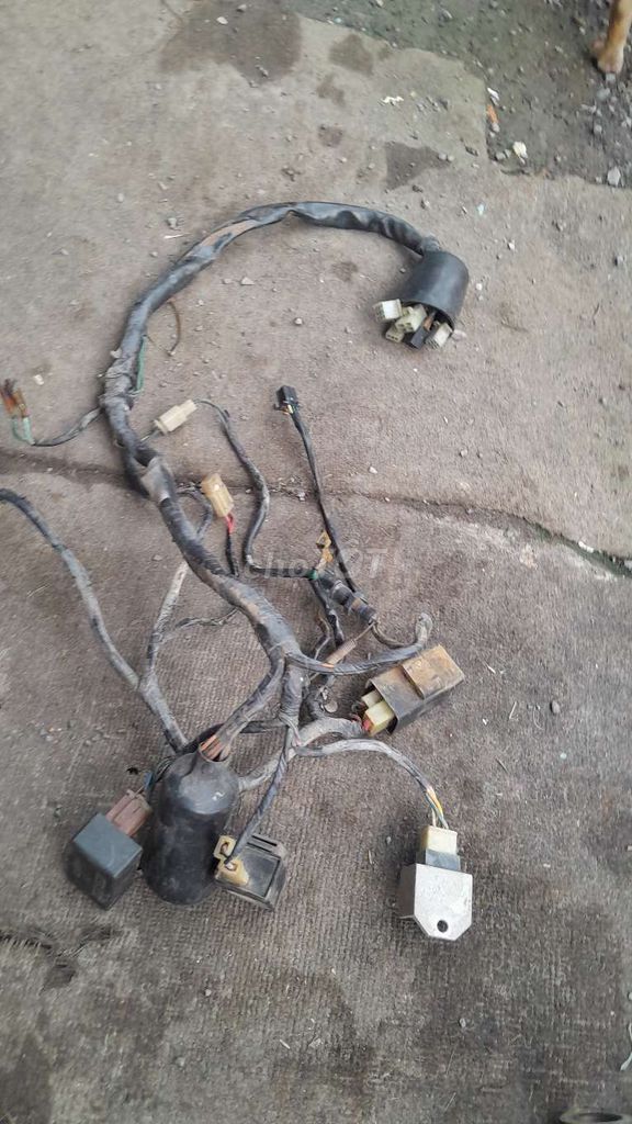 Dây điện sườn wave  nhỏ. Mua bán Phụ tùng xe tại Quận Bình Tân Tp Hồ Chí Minh được đăng bởi Bé Hằng  hình 2