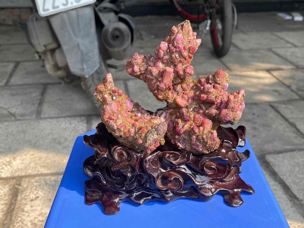 cây ruby suu tập. Mua bán Phụ kiện thời trang khác tại Thị xã Từ Sơn Bắc Ninh được đăng bởi Ngô Văn Tiến hình 1