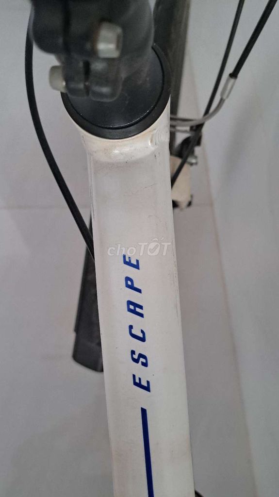 Đổi sang road cần bán giant escape 3 quốc tế. Mua bán Xe đạp tại Thành phố Vũng Tàu Bà Rịa - Vũng Tàu được đăng bởi Nam hình 3