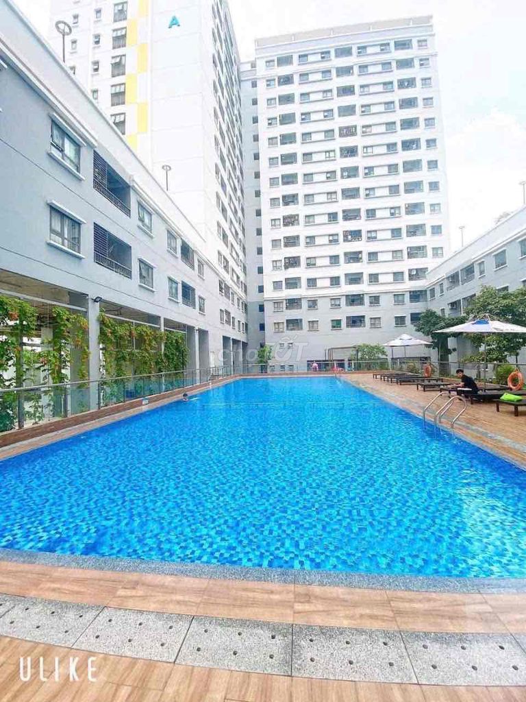 bán & cho thuê gấp CH Fresca 55m2 - 2pn - giá : 2.25 tỷ D6, Phường Bình Chiểu (Quận Thủ Đức cũ), Thành phố Thủ Đức, Tp Hồ Chí Minh Thành phố Thủ Đức Tp Hồ Chí Minh