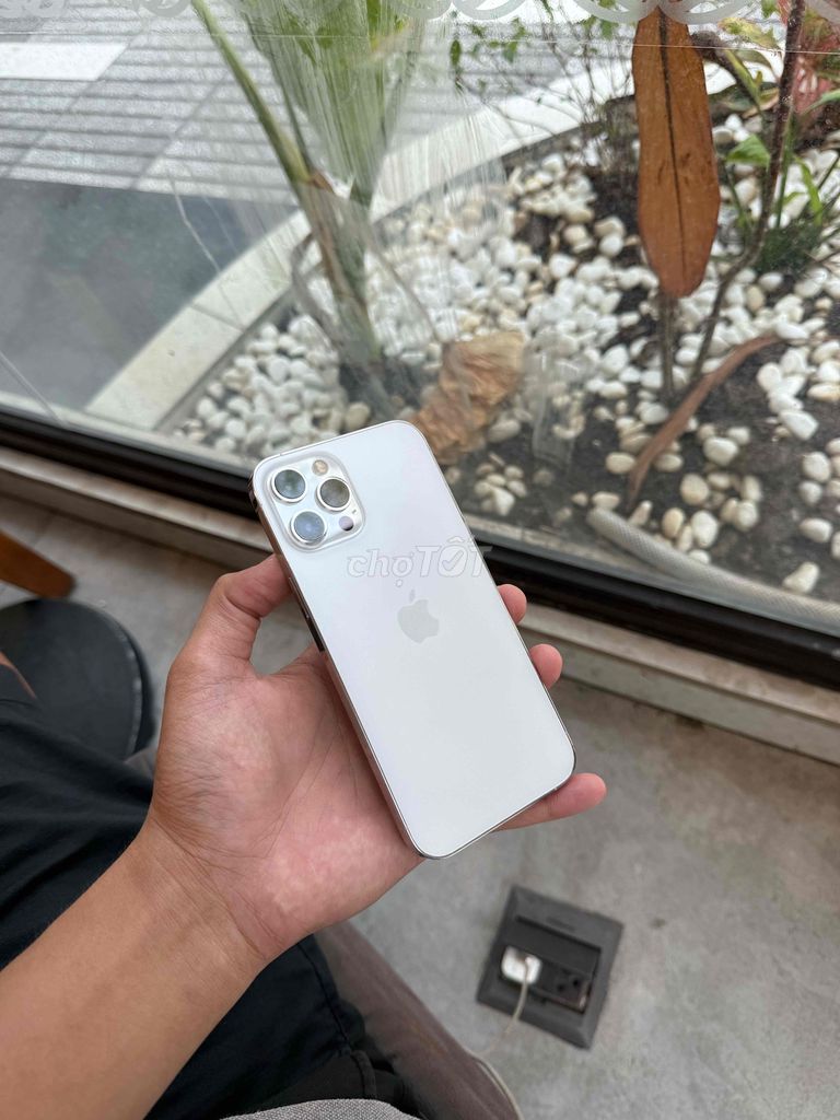 Apple iPhone 12 Pro Max 128GB Bạc. Mua bán Điện thoại tại Thành phố Cà Mau Cà Mau được đăng bởi Tâm Nguyên  hình 1