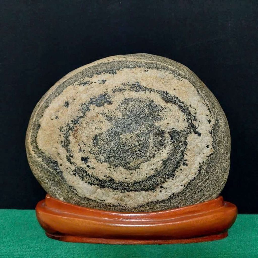 Đá cảnh Hoài niệm sinh thành 27x30x12cm. Mua bán Đồ sưu tầm, đồ cổ tại Thành phố Hạ Long Quảng Ninh được đăng bởi Trần Xuân Dương hình 1