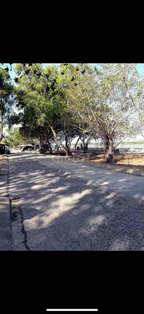 200m2 ĐẤT MẶT TIỀN ĐƯỜNG NHỰA NHÌN RA SÔNG LỚN,GẦN CHỢ,DÂN CƯ CẦN GIỜ. Cho thuê đất tại Huyện Cần Giờ Tp Hồ Chí Minh được đăng bởi Phạm Thị Hoàng Diễm hình 1