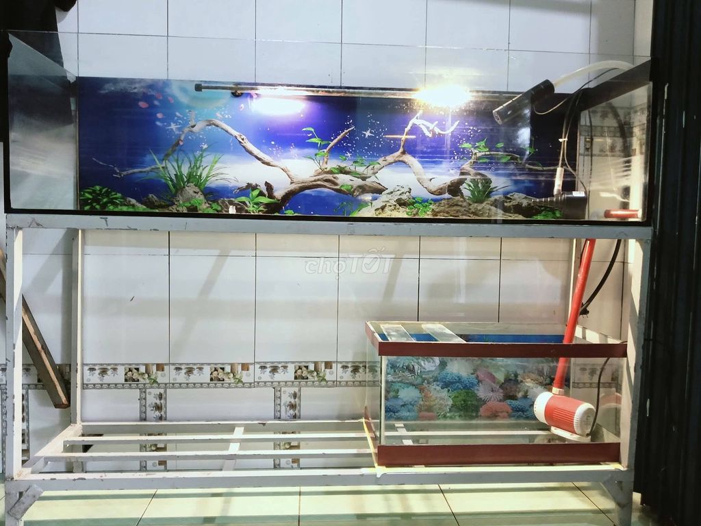 Bể cá cảnh Kính 1m4x30x30cm 2 lọc. Mua bán Phụ kiện, Thức ăn, Dịch vụ tại Quận 5 Tp Hồ Chí Minh được đăng bởi Hội Đồ Điện Tử hình 1