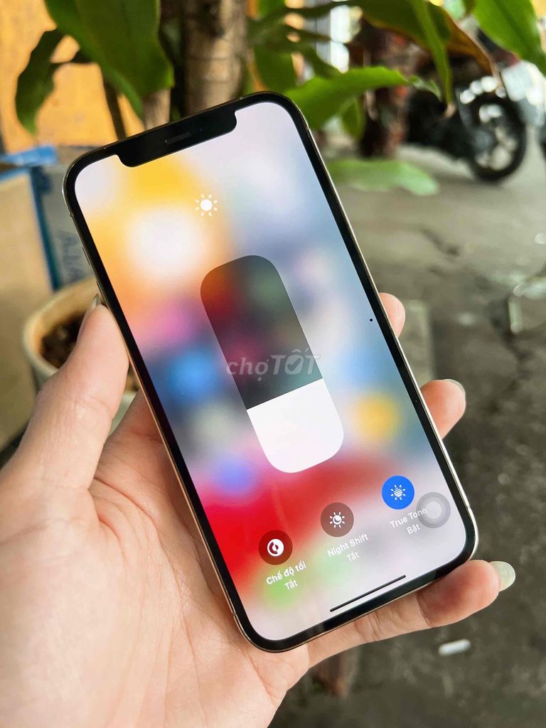 IPhone 12 Pro (512GB) Zin Áp. GL