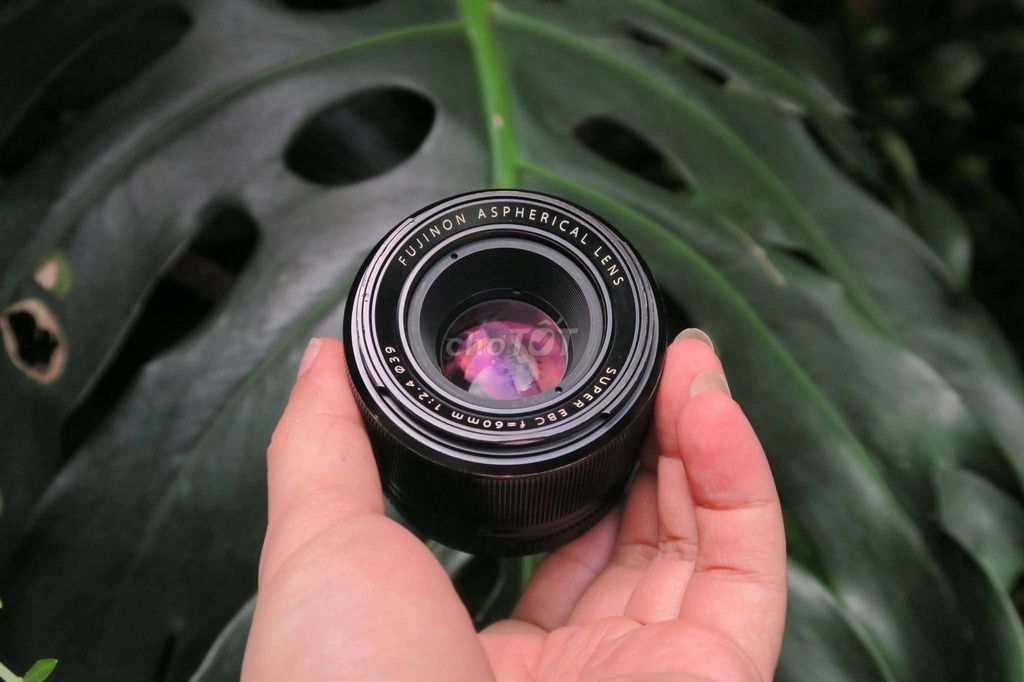 📸 Ống kính Fujifilm 60mm F 2.4 Macro. Mua bán Máy ảnh, Máy quay tại Quận 10 Tp Hồ Chí Minh được đăng bởi Đại Phong hình 1