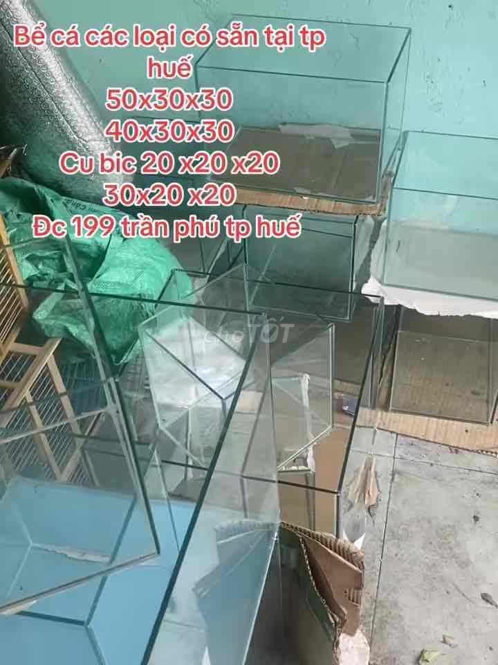 Bể cá kính các loại có sẵn nhiều kích cở. Mua bán Phụ kiện, Thức ăn, Dịch vụ tại Thành phố Huế Thừa Thiên Huế được đăng bởi Anh hùng hình 1