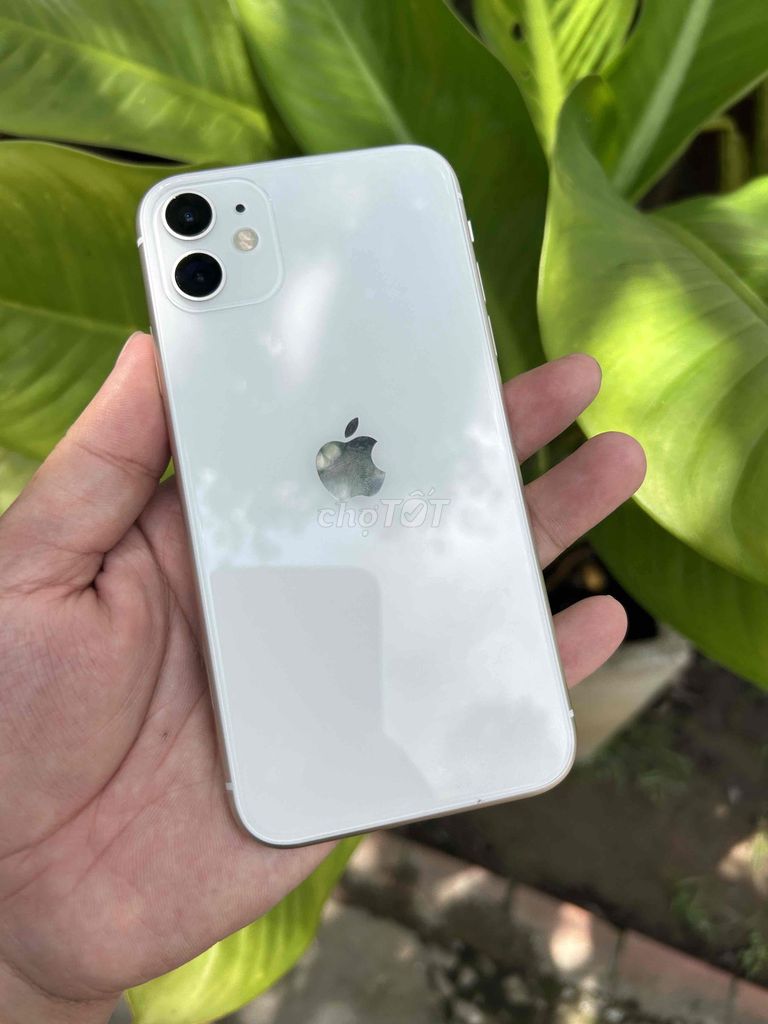 Thanh lý Iphone 11 128G máy full cn qt🍎. Mua bán Điện thoại tại Thành phố Vĩnh Long Vĩnh Long được đăng bởi Hoàng Nam hình 1