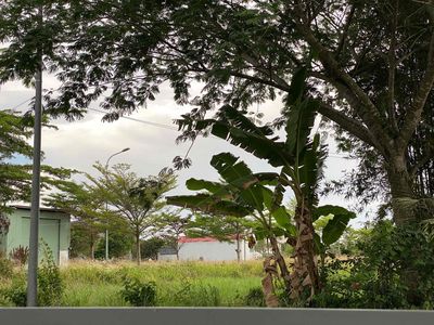 Cần bán lô đất B8 - 28 KDC Daresco Đức Hoà (Tây Ninh)