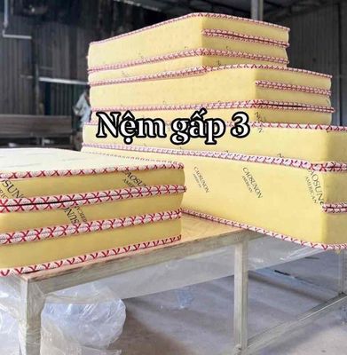 NỆM CAO SU NON GẤP 3 SẴN KHO MỜI KHÁCH QUẸO LỰA. Mua bán Giường, chăn ga gối nệm tại Thành phố Thủ Đức Tp Hồ Chí Minh được đăng bởi Tổng Kho Nệm Giá Tốt