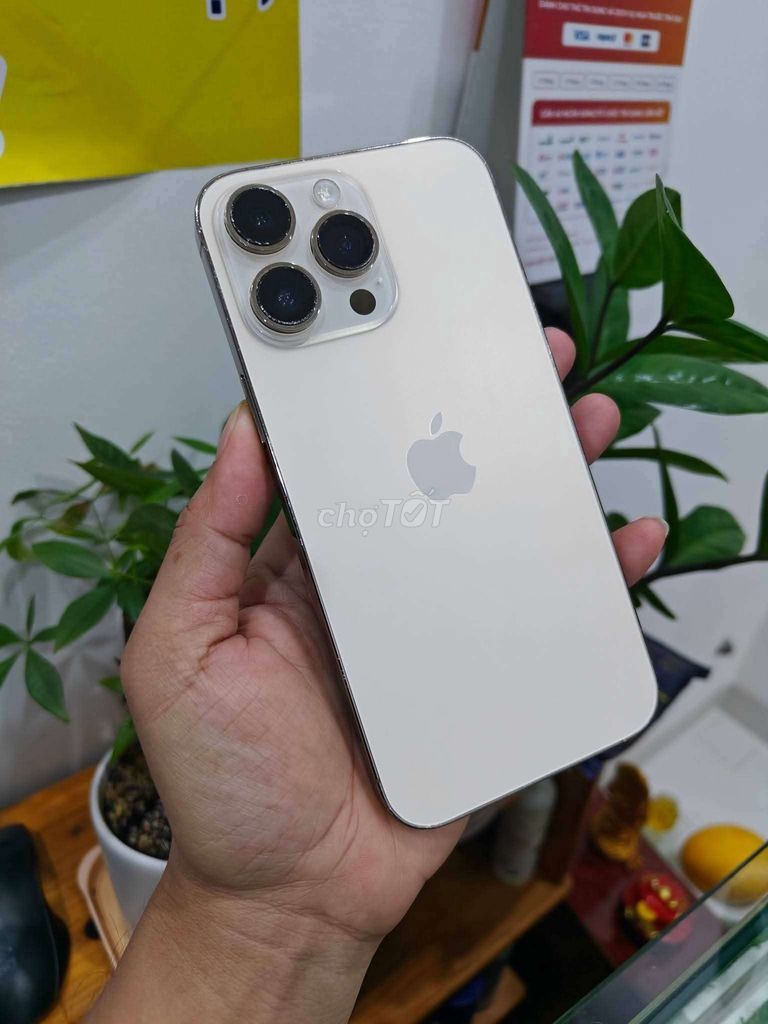 Apple iPhone 14 Pro Max 128GB Vàng. Mua bán Điện thoại tại Thành phố Vũng Tàu Bà Rịa - Vũng Tàu được đăng bởi HNam Mobile hình 1