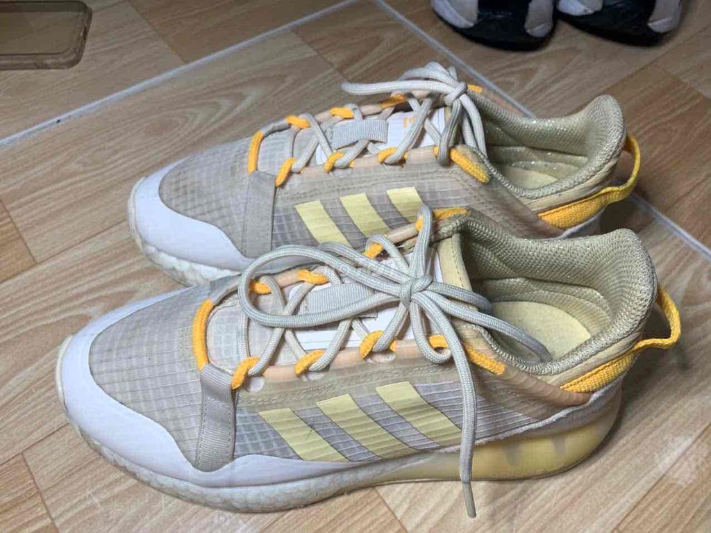 bán giày adidas real