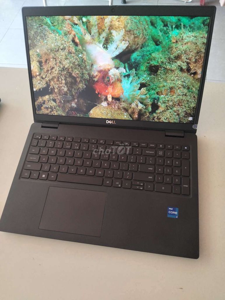 Dell Latitude 3520 i7 1165G7 15.6 inch 8GB/256GB . Mua bán Laptop tại Thành phố Nha Trang Khánh Hòa được đăng bởi le cuong  hình 1