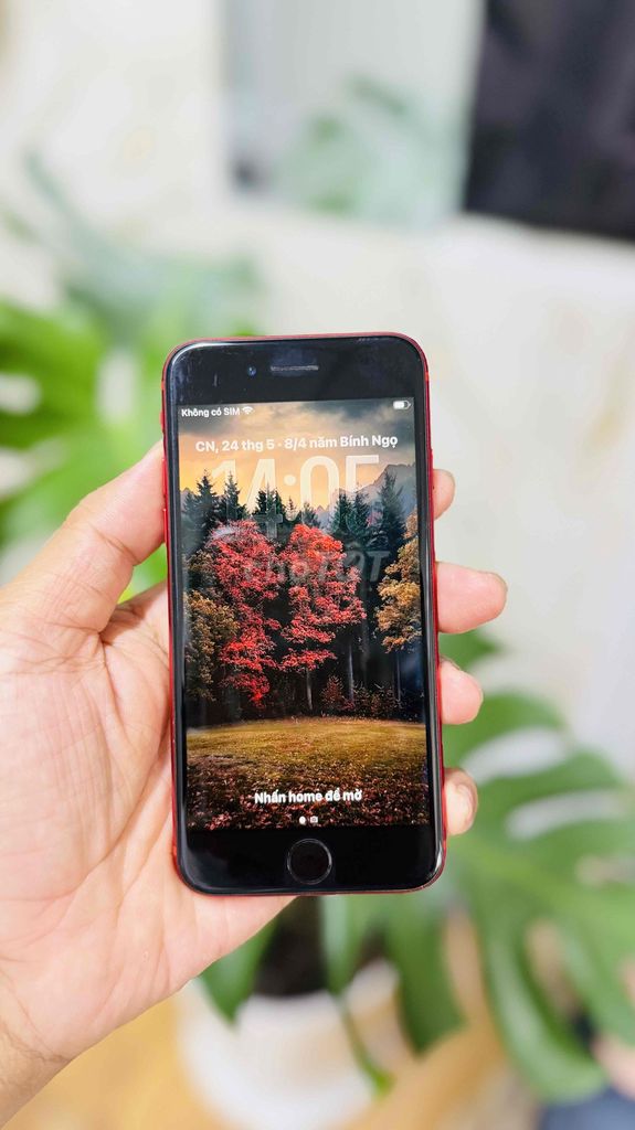 Apple iPhone SE 2020 64GB Đỏ. Mua bán Điện thoại tại Quận Ninh Kiều Cần Thơ được đăng bởi HẢI APPLE CẦN THƠ hình 1
