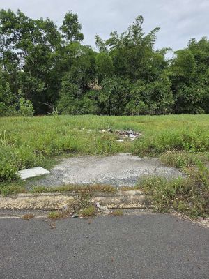 Cần ra gấp cứu chủ