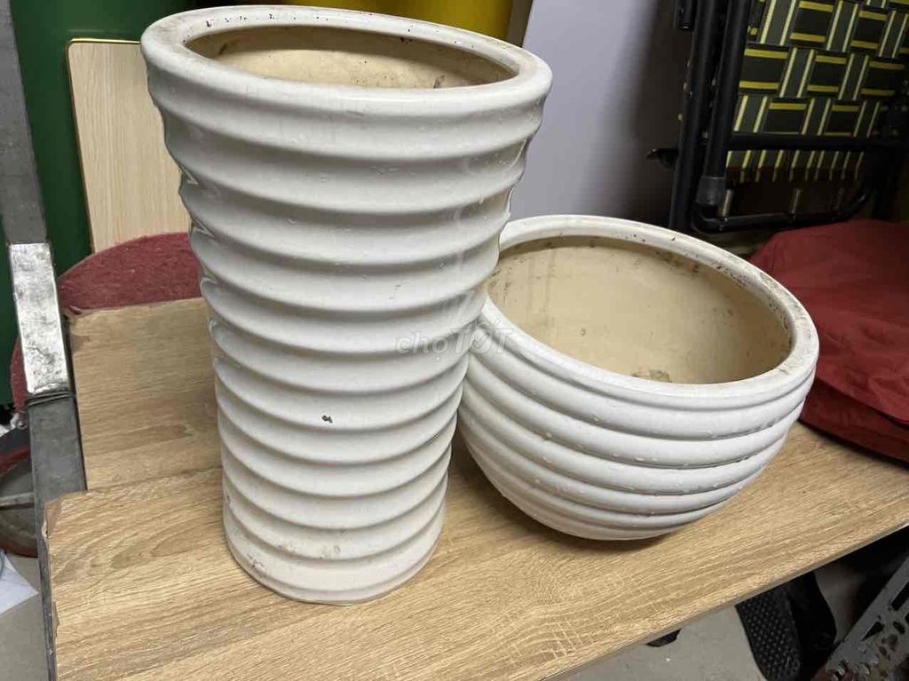 combo Chậu cây Gốm sứ Trắng. Mua bán Cây cảnh, đồ trang trí tại Thành phố Thủ Đức Tp Hồ Chí Minh được đăng bởi Thanhly hình 1