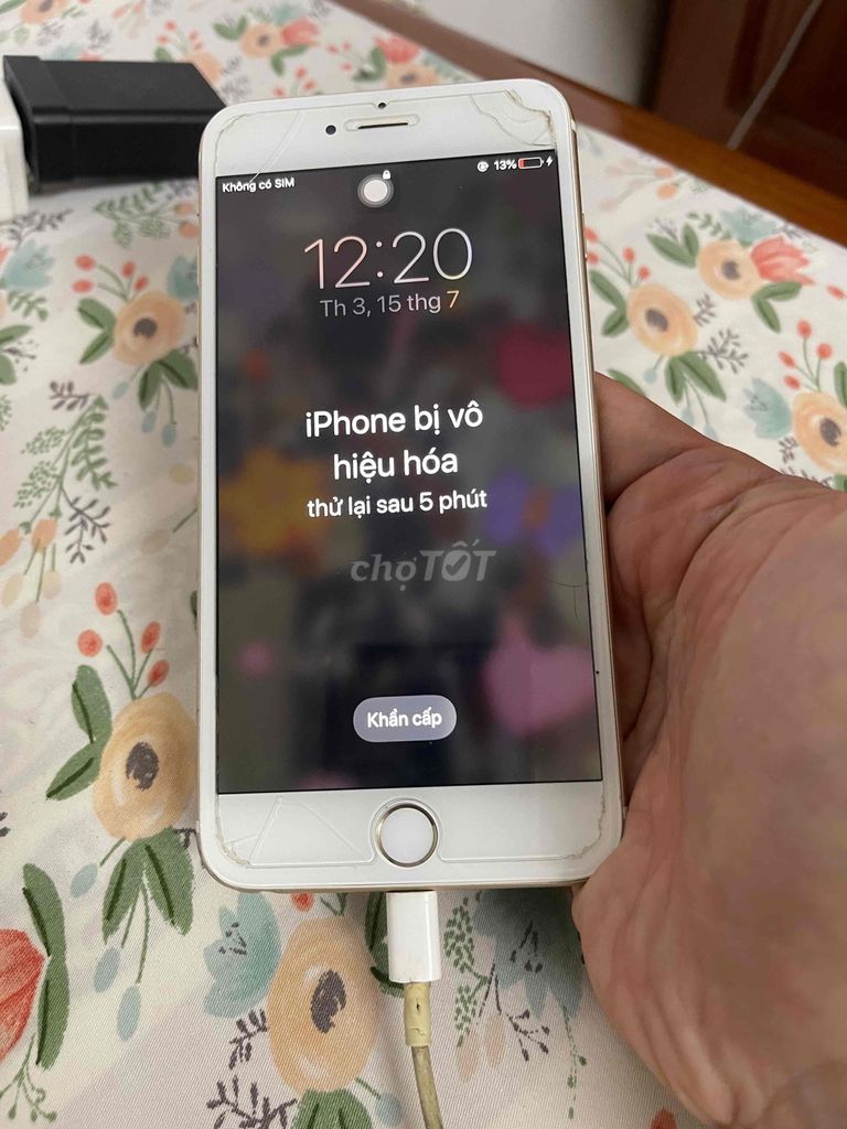Apple iPhone 6Plus Vàng Hỏng. Mua bán Điện thoại tại Quận Đống Đa Hà Nội được đăng bởi Tiệm Tạp Hoá Ký Ức  hình 1