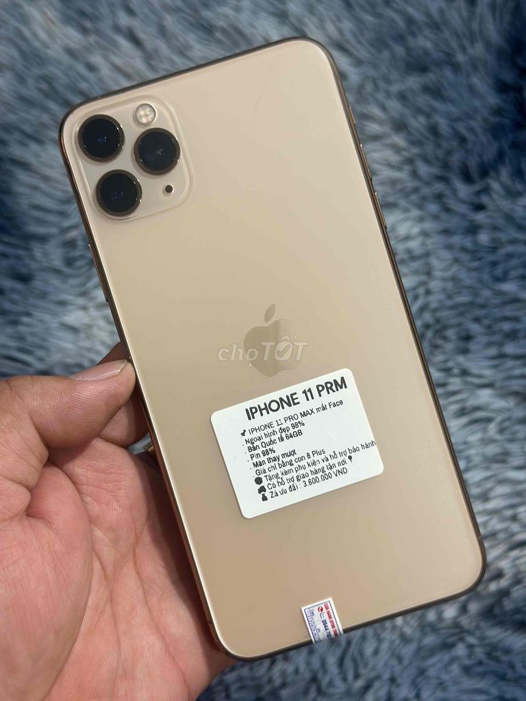 IPHONE 11 PRM Giá chỉ bằng cây 8 Plus. Mua bán Điện thoại tại Huyện Trảng Bom Đồng Nai được đăng bởi Hồ Trung Hiếu hình 1