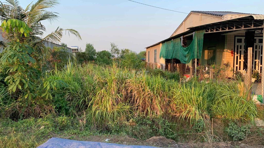 Đang cần bán