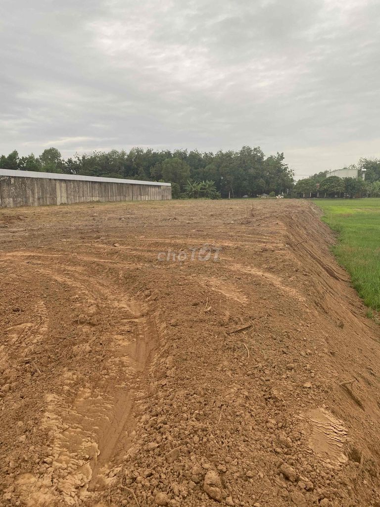 Cần cho thuê mặt bằng quốc lộ 22. Cho thuê đất tại Huyện Trảng Bàng Tây Ninh được đăng bởi Phong hình 1