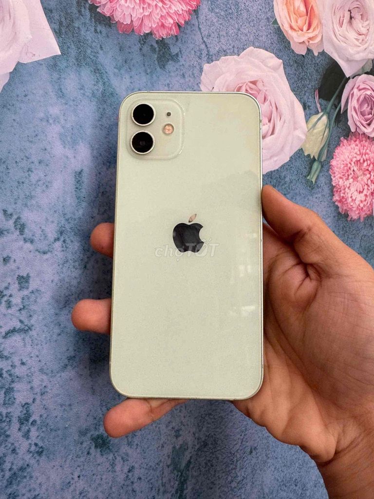 iPhone 12 64GB Xanh BH 6th có trả góp. Mua bán Điện thoại tại Quận Thanh Khê Đà Nẵng được đăng bởi Bèo Mobile Store hình 1