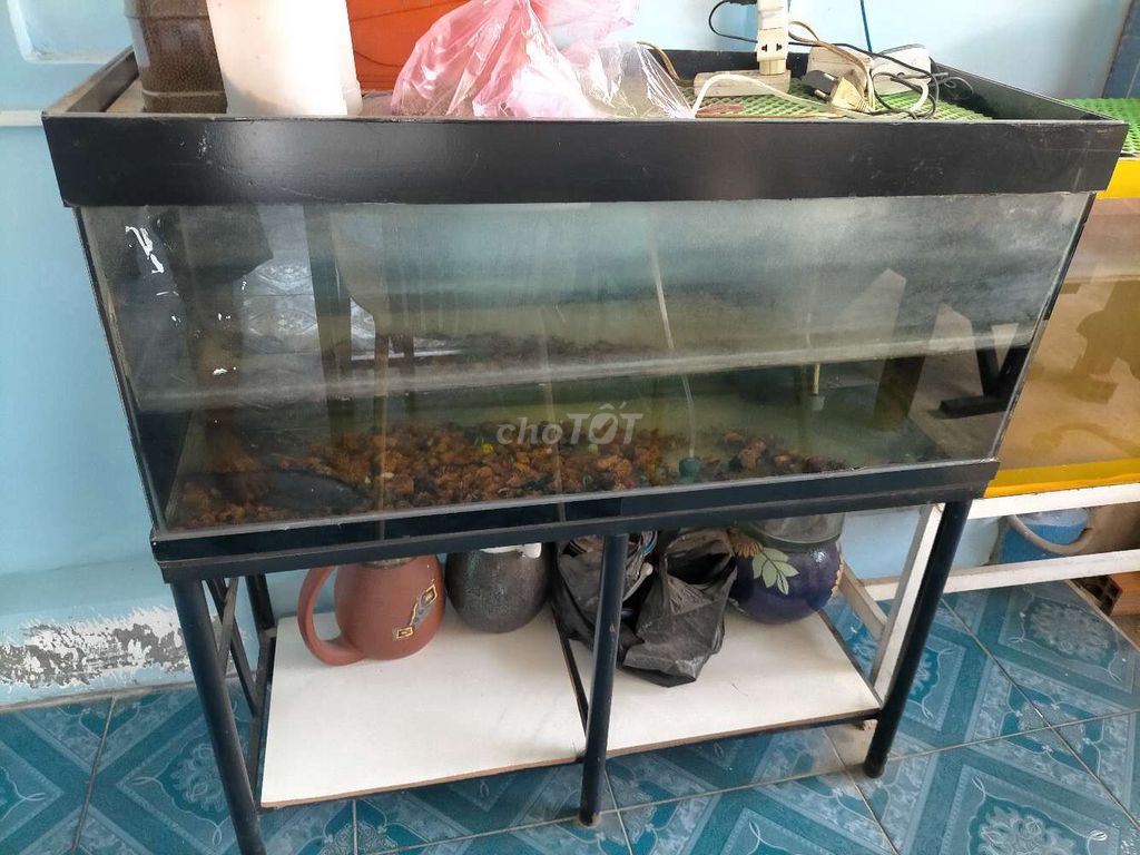 Hồ cá 1m x 50cm x 40cm Đã qua sử dụng. Mua bán Phụ kiện, Thức ăn, Dịch vụ tại Huyện Đức Hòa Long An được đăng bởi Le hoang Thao hình 1